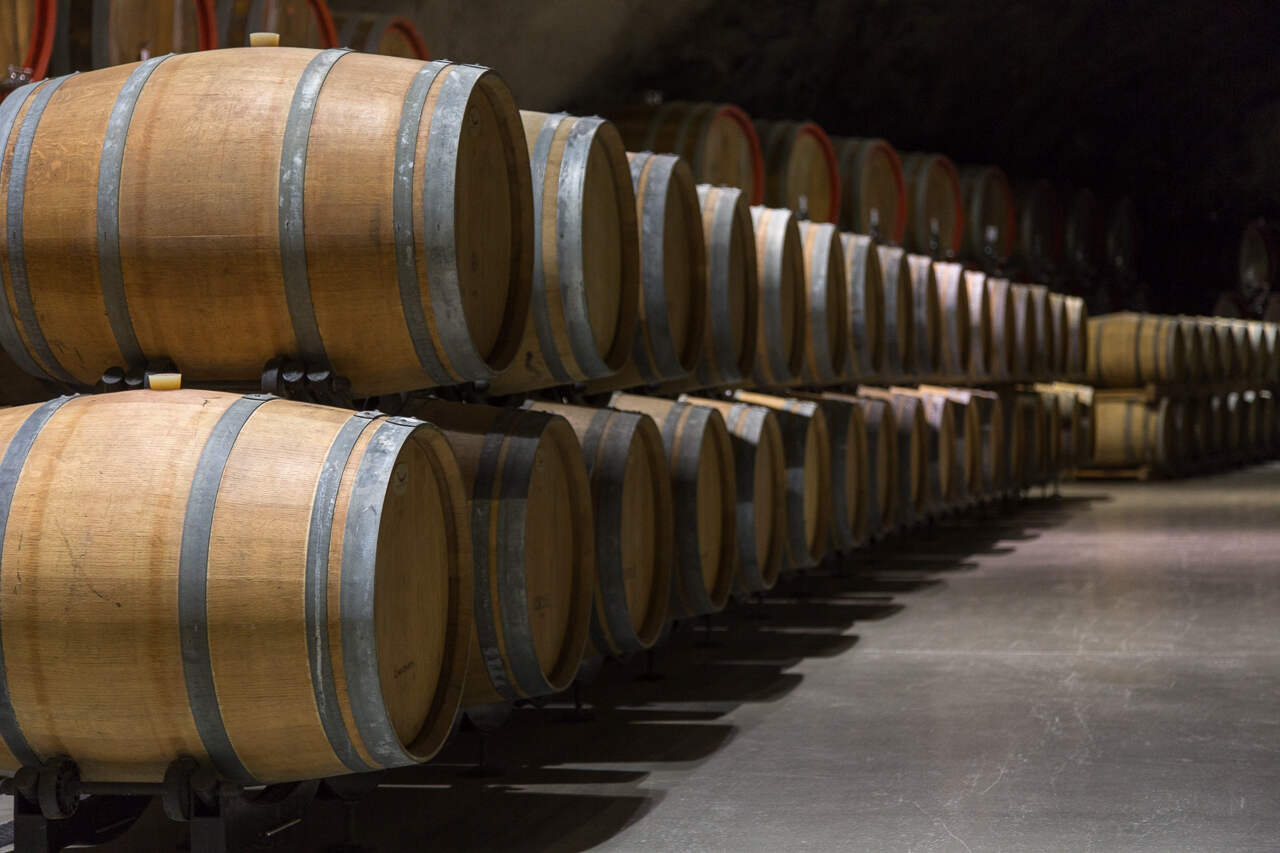 Wine cellar Sipcanik Montenegro