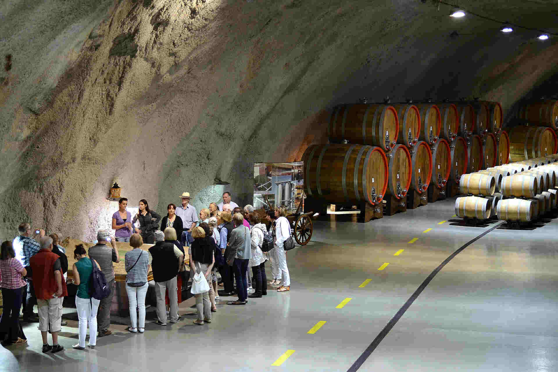 Wine tour in Sipcanik wine cellar in Montenegro
