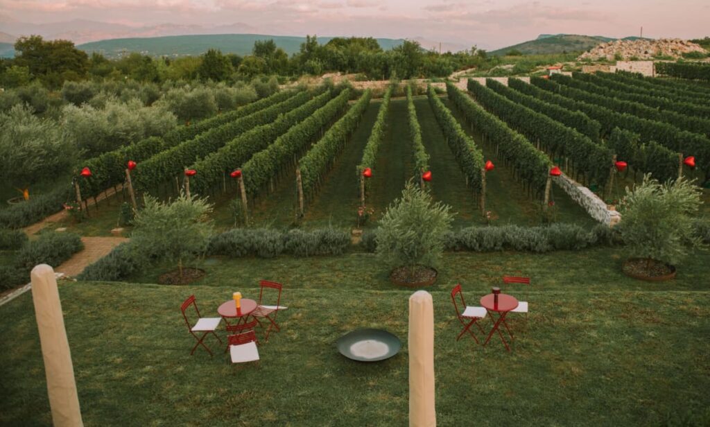 Winery Kekovic Montenegro