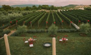 Winery Kekovic Montenegro
