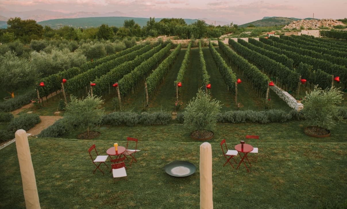 Winery Kekovic Montenegro