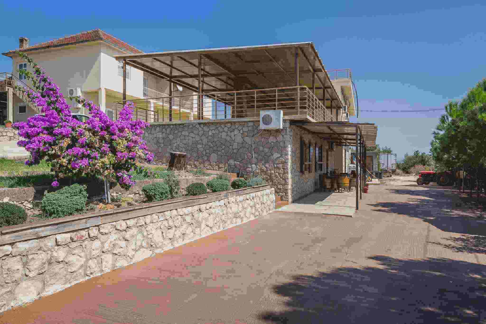 Winery Milovic Ulcinj town