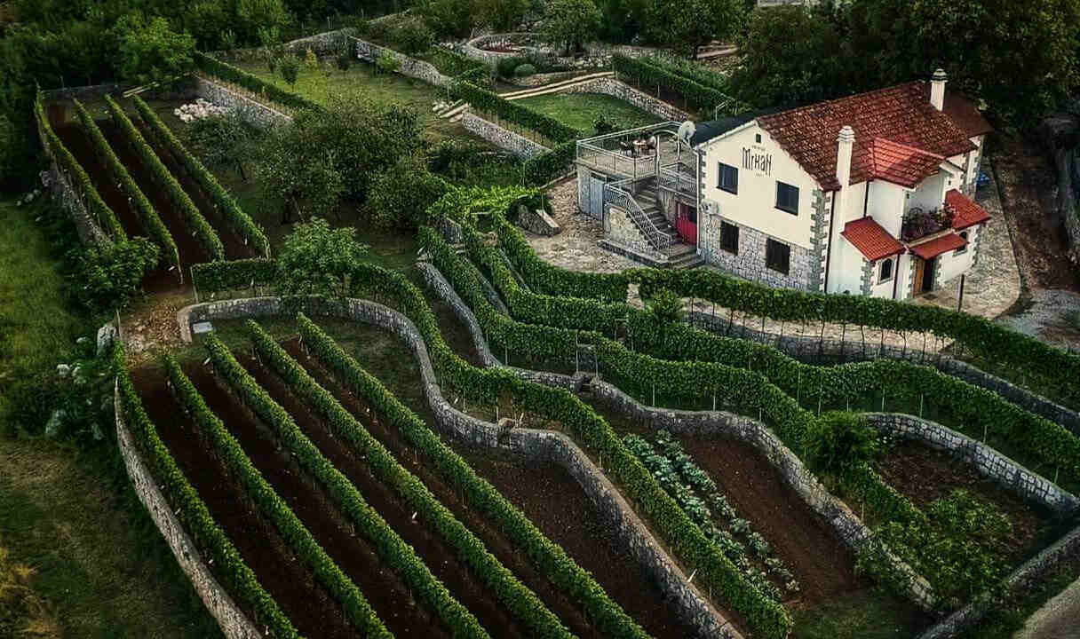 Winery Mrkan in Montenegro