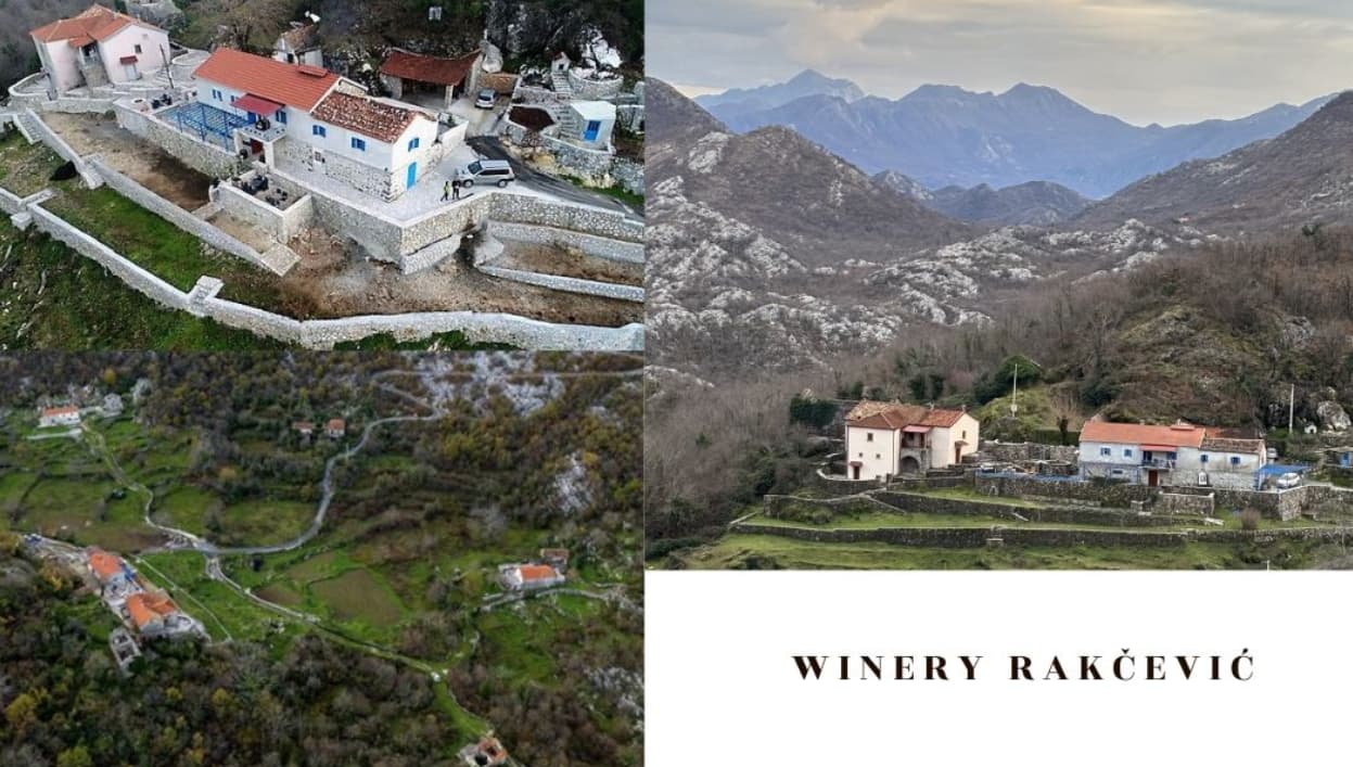 Winery Rakcevic Montenegro