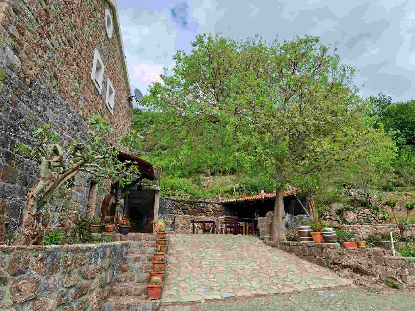Montenegro winery Pejanovic