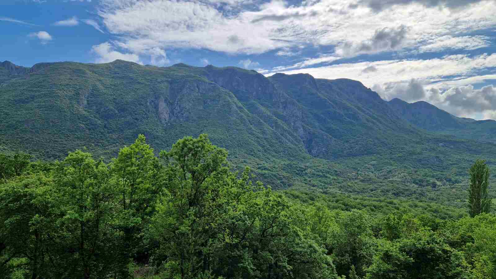 Pejanovic winery Skadar lake