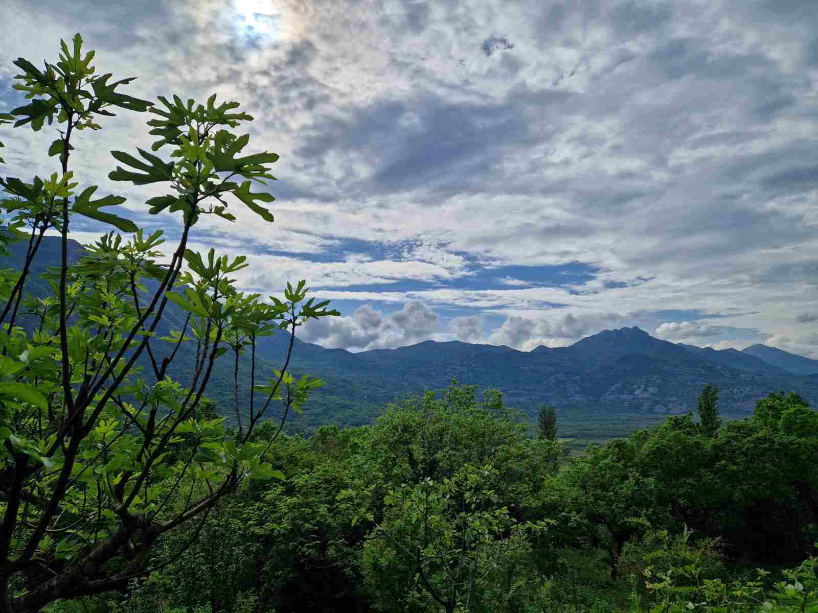 View from Pejanovic winery