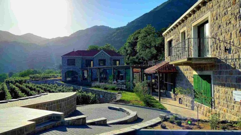 Markovic winery