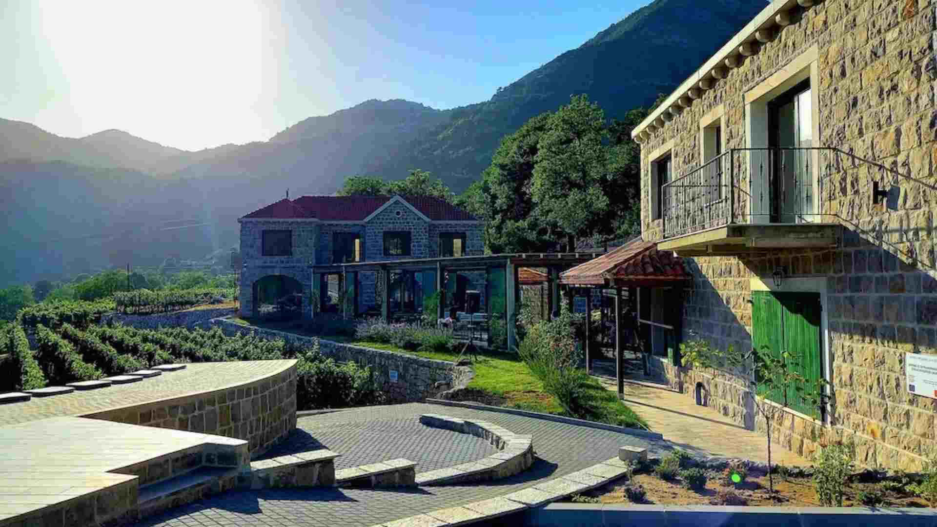 Markovic winery