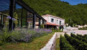 Restaurant winery Markovic
