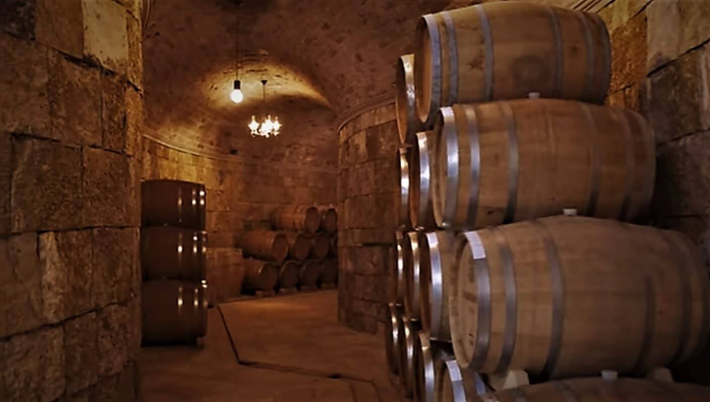 Wine cellar winery Markovic