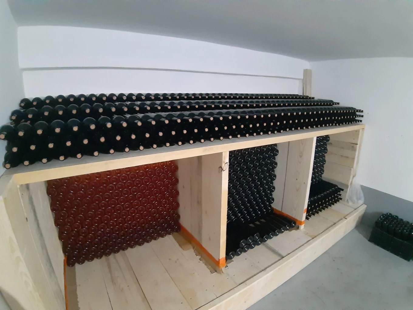Wine tasting at winery Rackovic