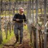 How Is Wine Made?