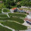 Top Destinations for Wine Tourism in Montenegro
