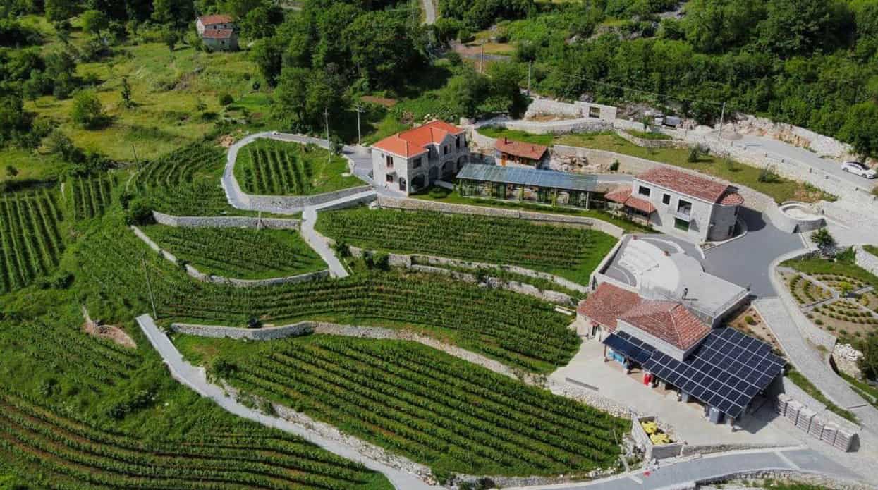 Top Destinations for Wine Tourism in Montenegro