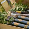 Which Montenegrin wine is right for life’s special moments?