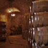 The Best Montenegrin Wines for Summer