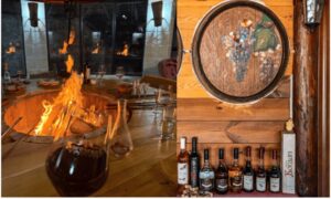 Bogojević Winery – self-cooking experience & wine tasting
