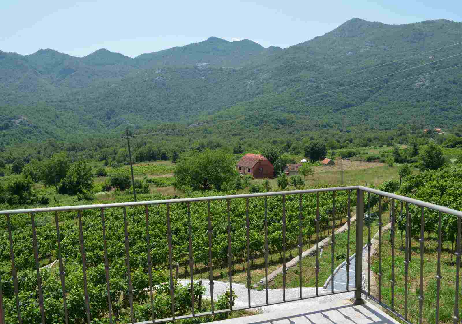 Terrace view wine experience Markovic winery