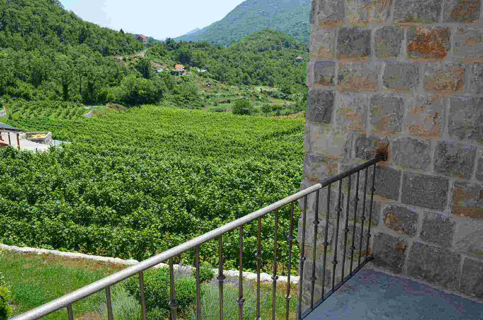 Terrace view wine experience Markovic winery