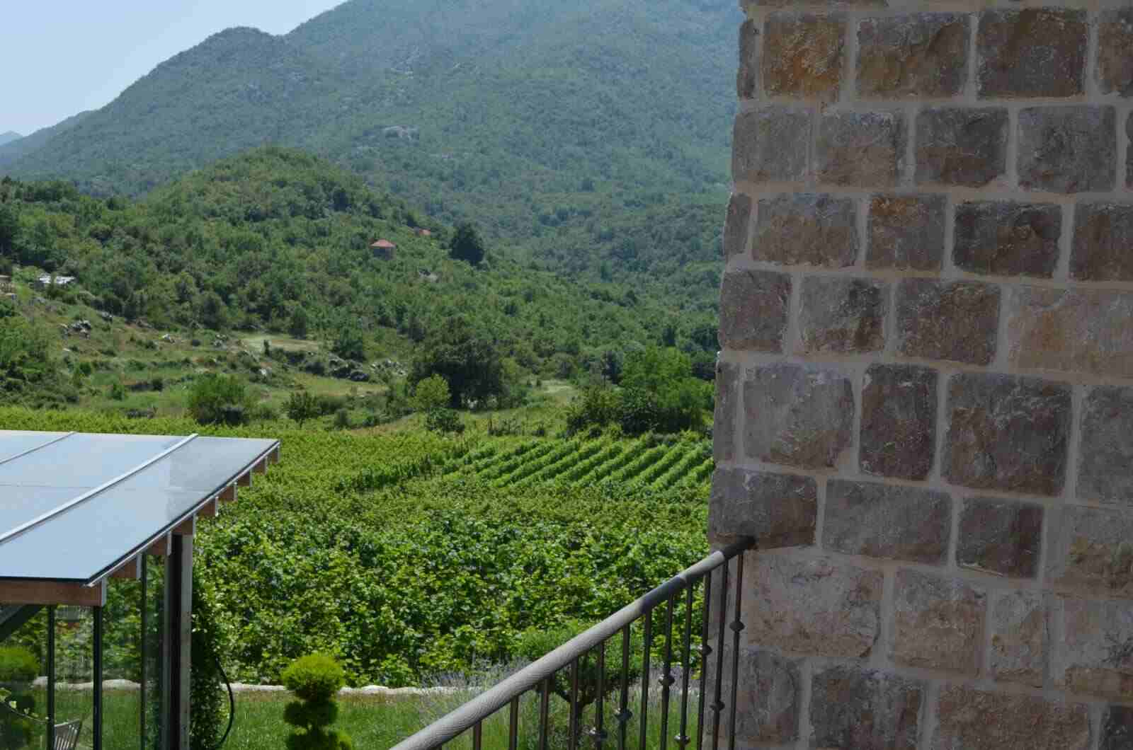 Vineyard view xvi century winery stay
