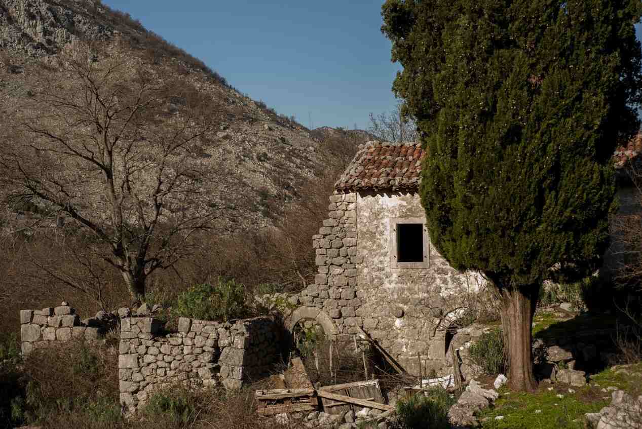 Winery Dračevica Montenegro Zeta