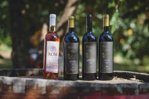 Vinarija Ćetković Beri vina