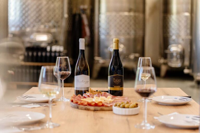 Vinska degustaciju u vinariji Ćetković Crna Gora